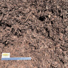 blended bark mulch