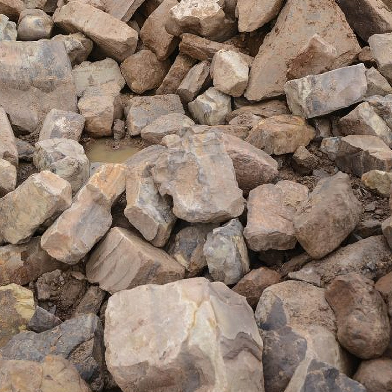 mud rock